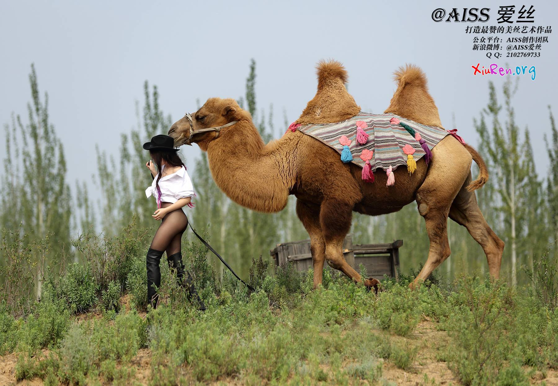 AISS爱丝第33期 妩媚模特美女丝袜野外骑骆驼创意写真 95P
