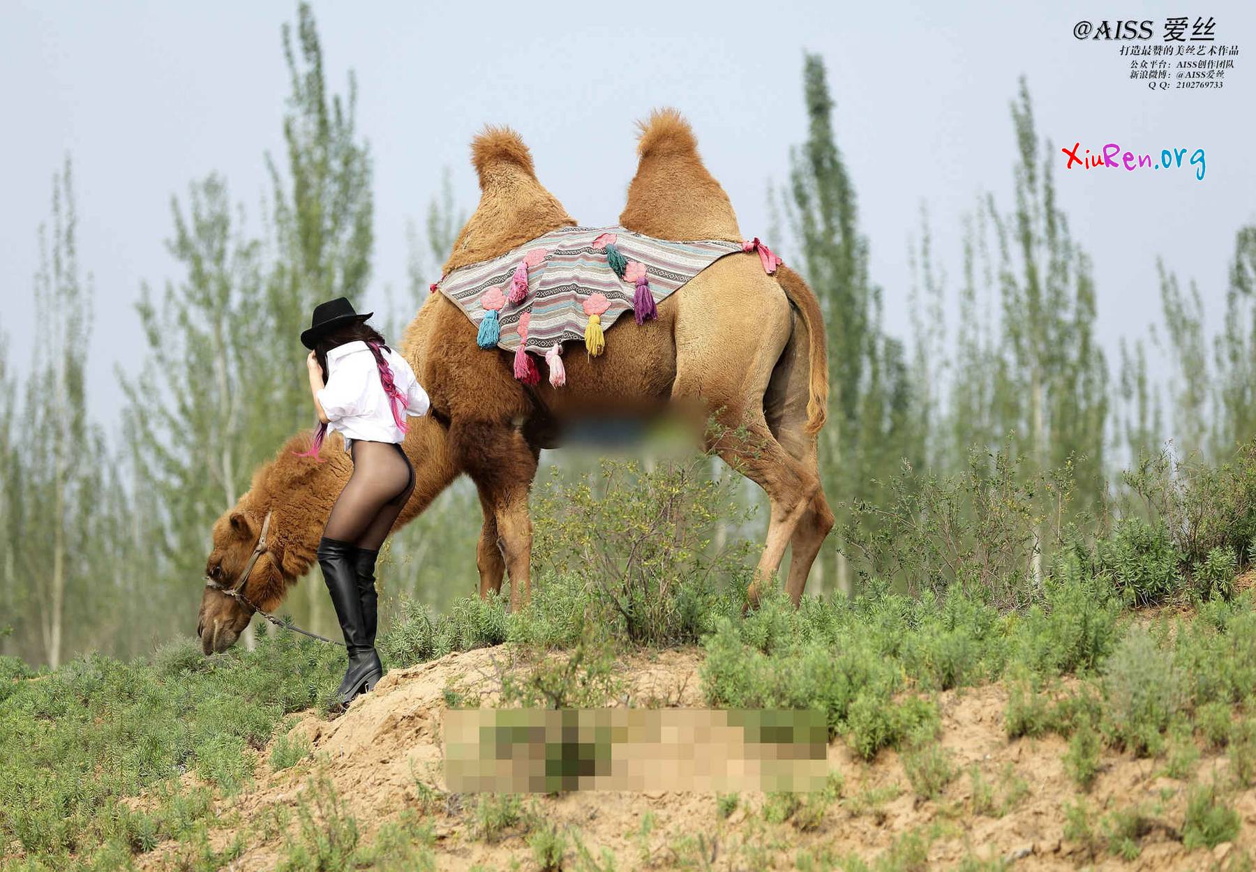 AISS爱丝第33期 妩媚模特美女丝袜野外骑骆驼创意写真 95P