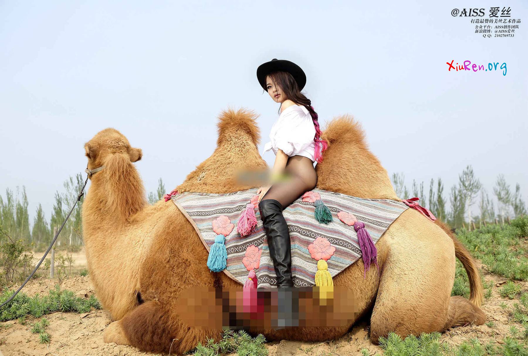 AISS爱丝第33期 妩媚模特美女丝袜野外骑骆驼创意写真 95P