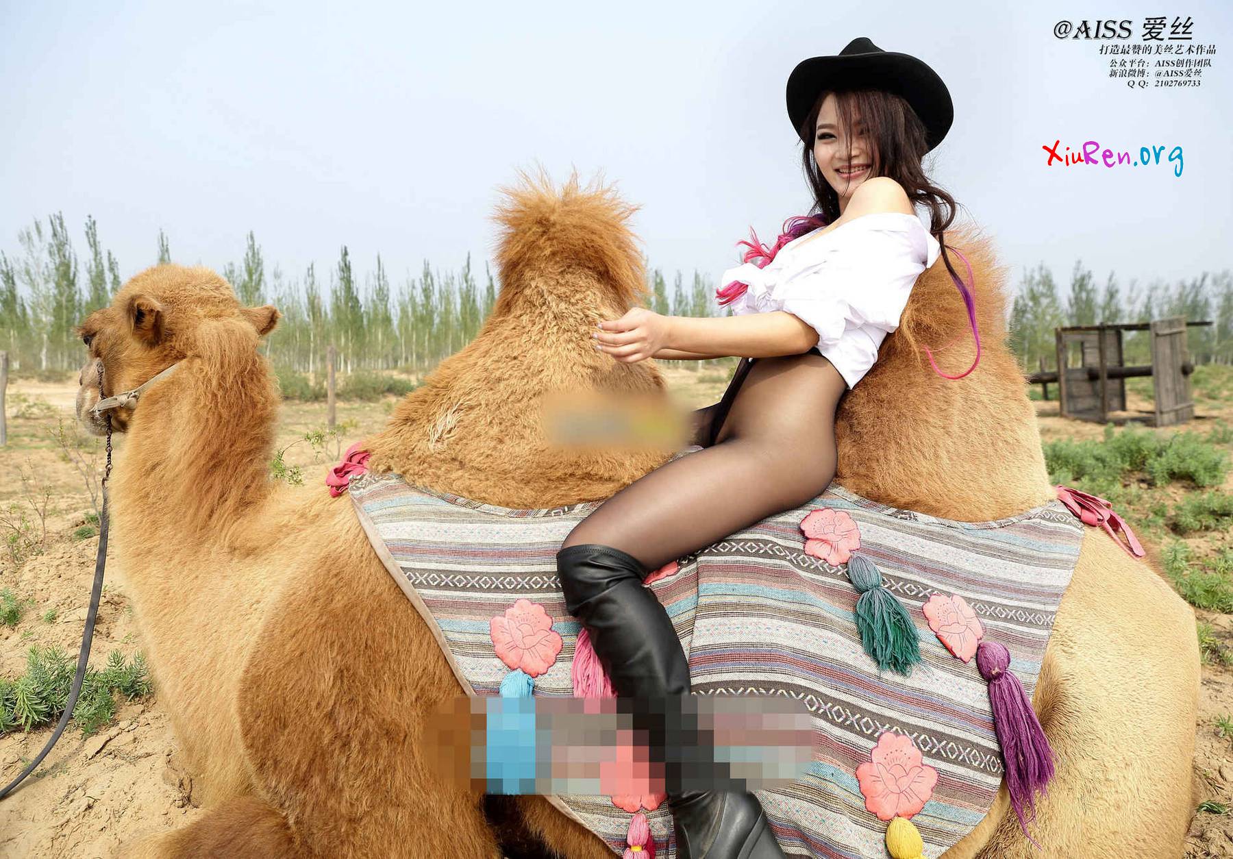 AISS爱丝第33期 妩媚模特美女丝袜野外骑骆驼创意写真 95P