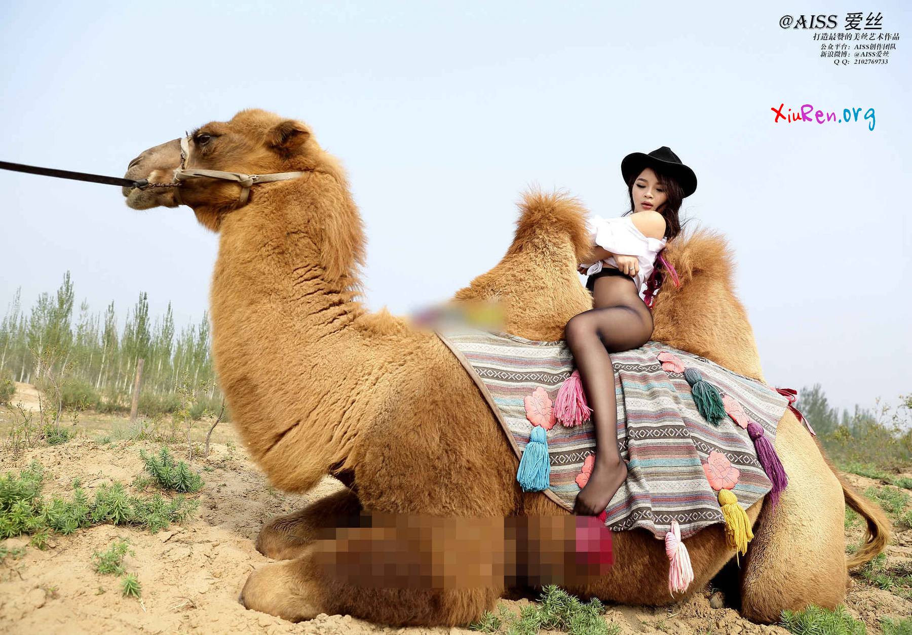 AISS爱丝第33期 妩媚模特美女丝袜野外骑骆驼创意写真 95P