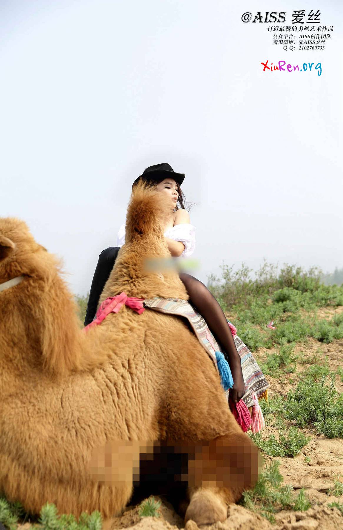 AISS爱丝第33期 妩媚模特美女丝袜野外骑骆驼创意写真 95P