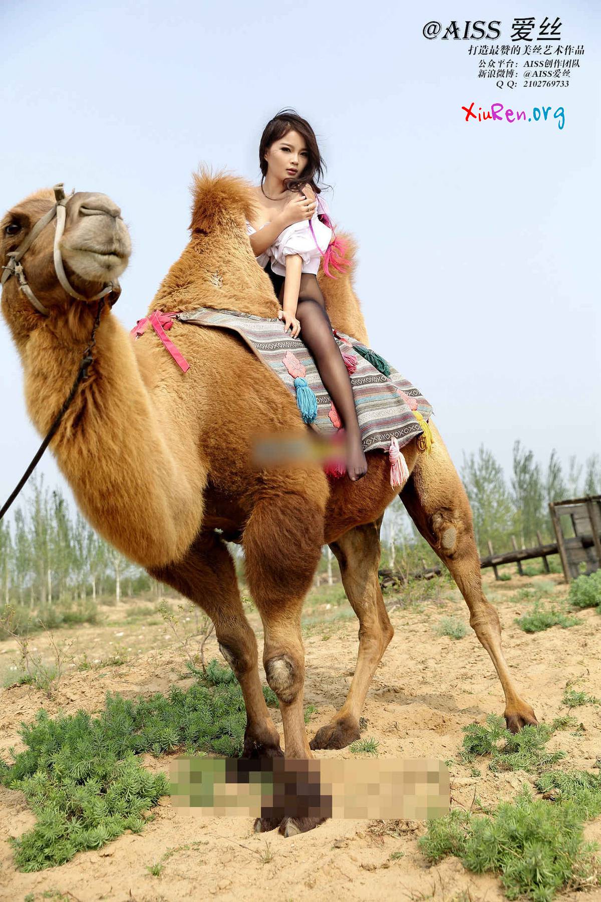 AISS爱丝第33期 妩媚模特美女丝袜野外骑骆驼创意写真 95P