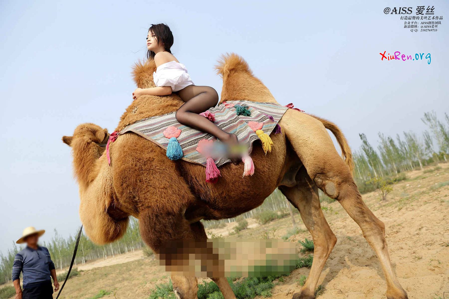 AISS爱丝第33期 妩媚模特美女丝袜野外骑骆驼创意写真 95P