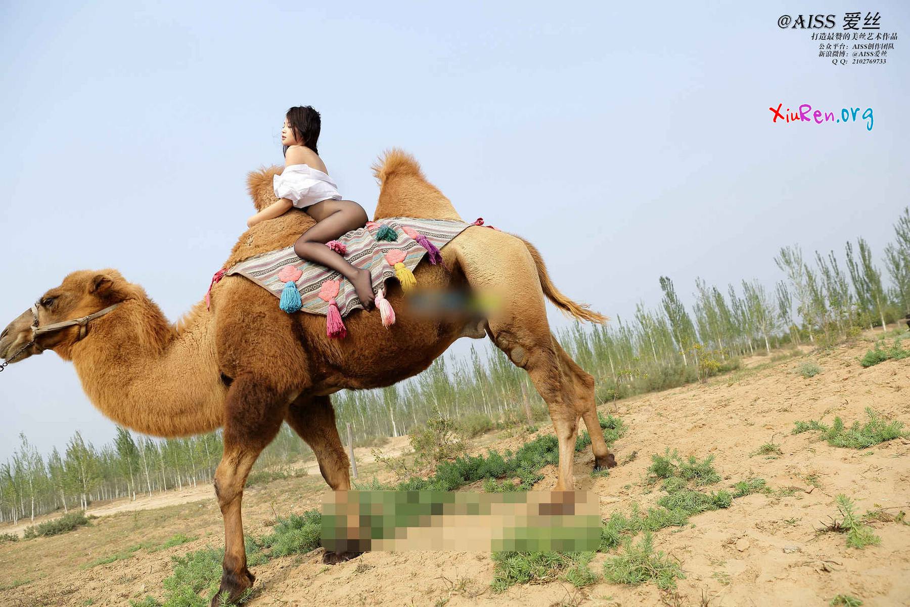 AISS爱丝第33期 妩媚模特美女丝袜野外骑骆驼创意写真 95P