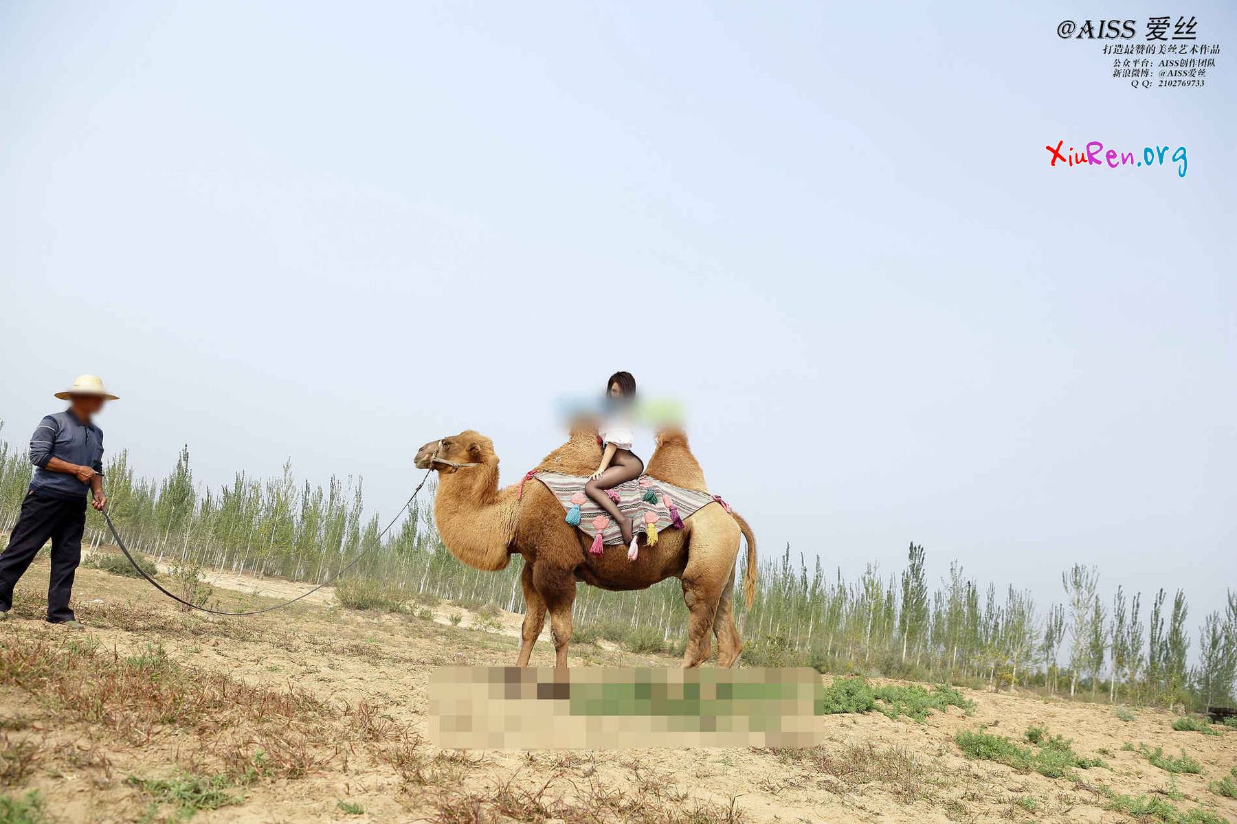 AISS爱丝第33期 妩媚模特美女丝袜野外骑骆驼创意写真 95P