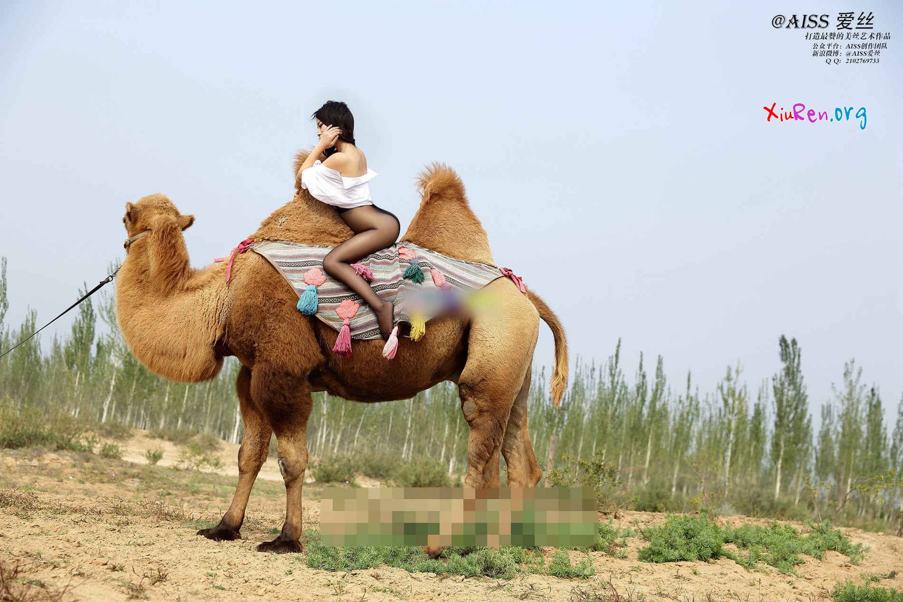 AISS爱丝第33期 妩媚模特美女丝袜野外骑骆驼创意写真 95P