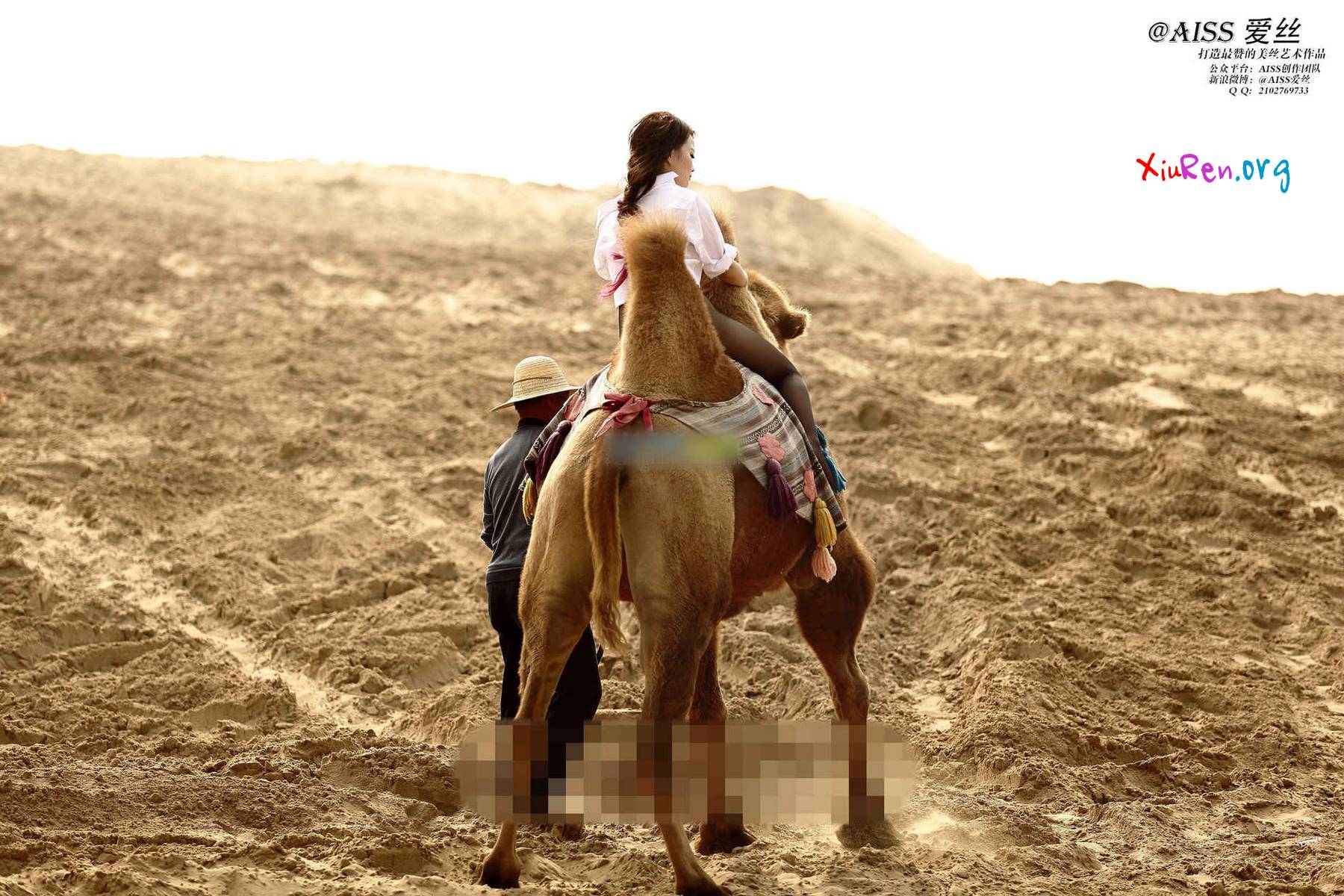 AISS爱丝第33期 妩媚模特美女丝袜野外骑骆驼创意写真 95P