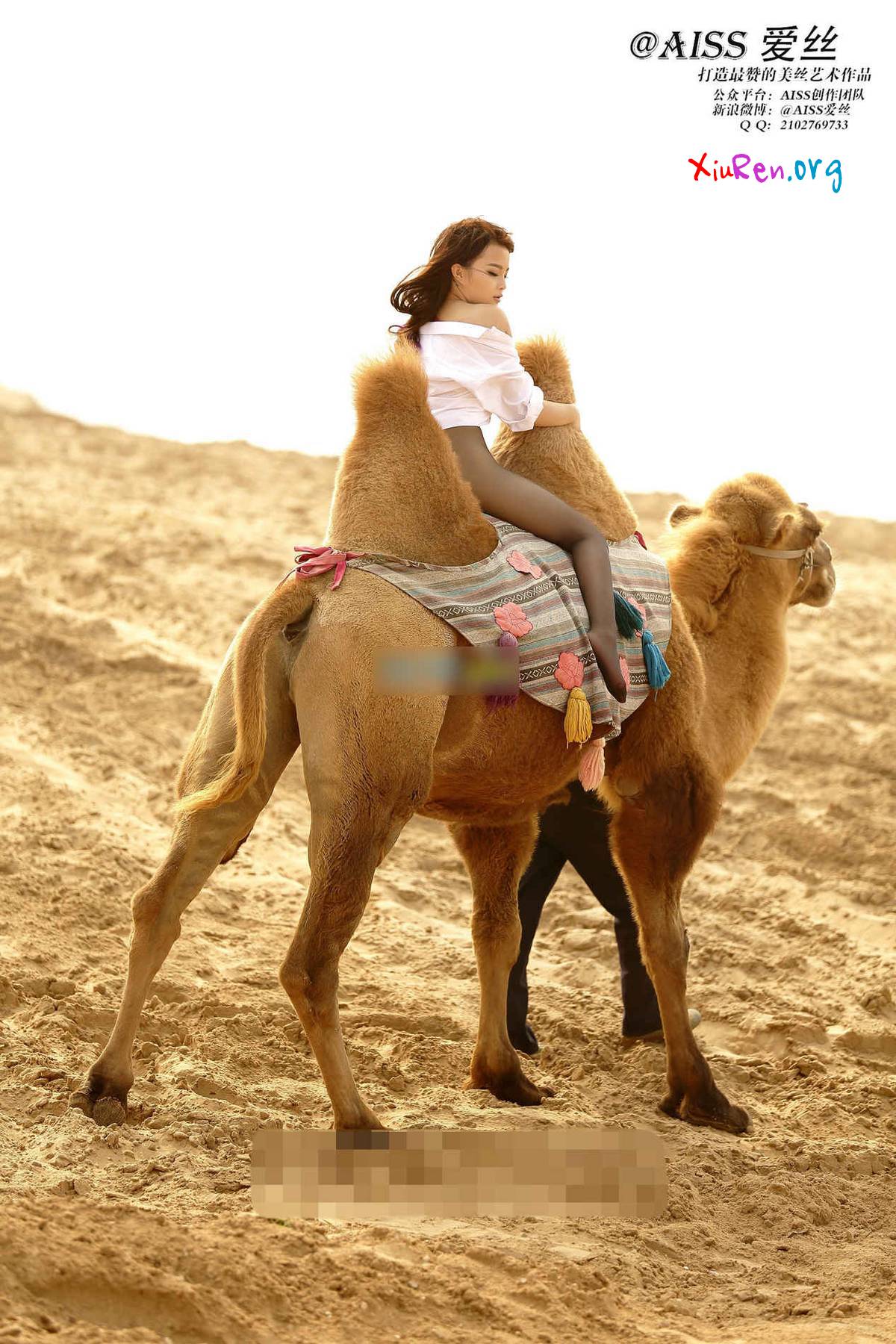 AISS爱丝第33期 妩媚模特美女丝袜野外骑骆驼创意写真 95P