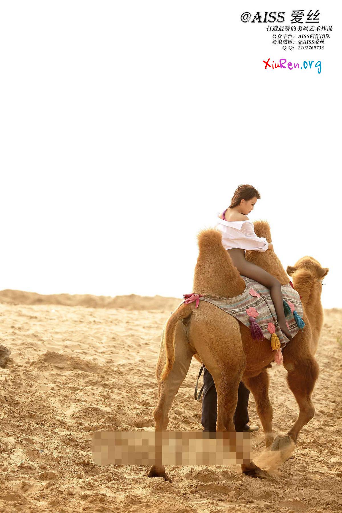 AISS爱丝第33期 妩媚模特美女丝袜野外骑骆驼创意写真 95P